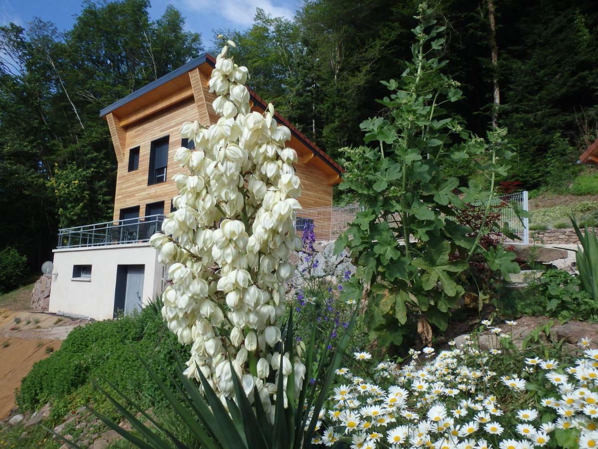 Villa Cora Venez Neuve Avec Spa Saint-Bresson 외부 사진